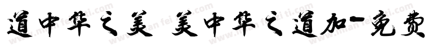 道中华之美 美中华之道加字体转换